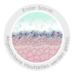 Erster-Schritt-MDA